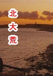 视频一区二区中文字幕