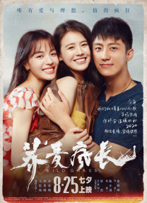 91短视频在线观看